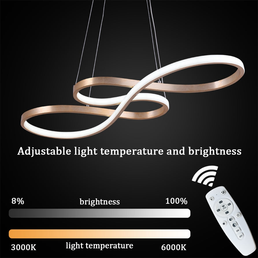 Nordic Led Pendant Light Decorative Led Ceiling Lamps